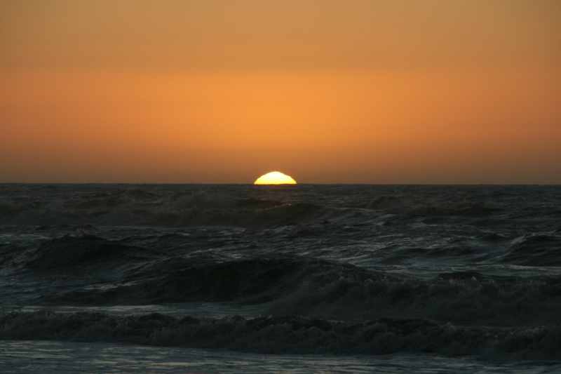 Nieuw-Zeeland 2011 - 1381